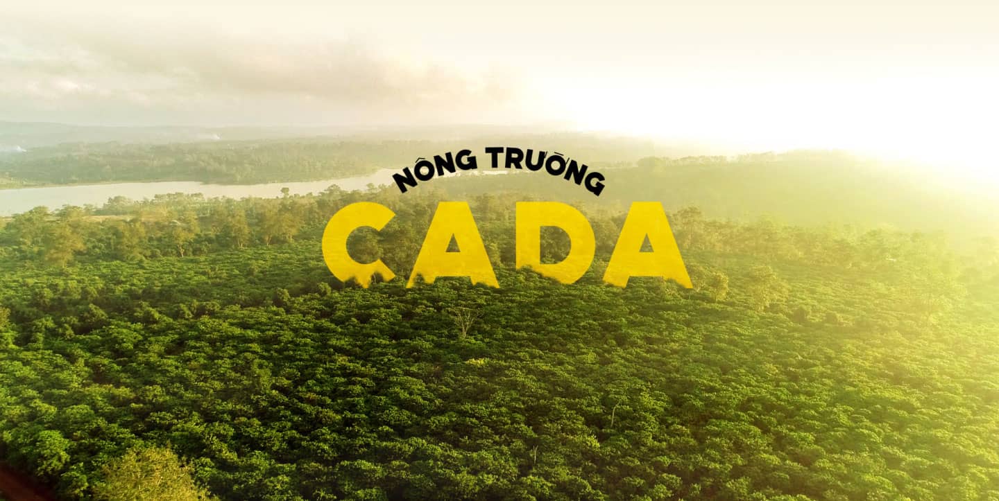 Hồi Sinh Cà Phê CADA Cao Sản